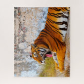 Grote katten. legpuzzel (Verticaal)