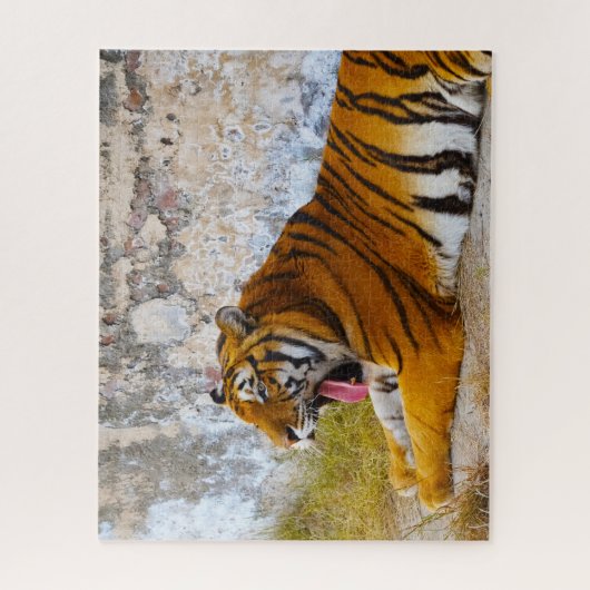 Grote katten. legpuzzel (Verticaal)