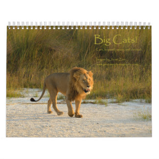 Grote katten. Leon, Leopard, Cheetah, Jaguar Calen Kalender