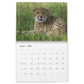 Grote Katten van de Wereld Kalender (Mar 2027)