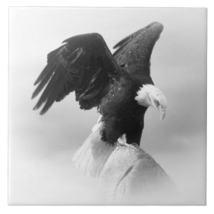 Grote keramische (6 x 6 inch) keramische foto's tegeltje