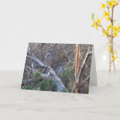 Grote kippen kaart (Gele Bloem)