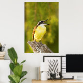 Grote Kiskadee roept vanaf zitstok Poster (Thuiskantoor)