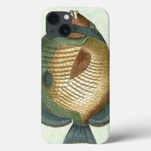 Grote kleurige vis Case-Mate iPhone case (Achterkant)