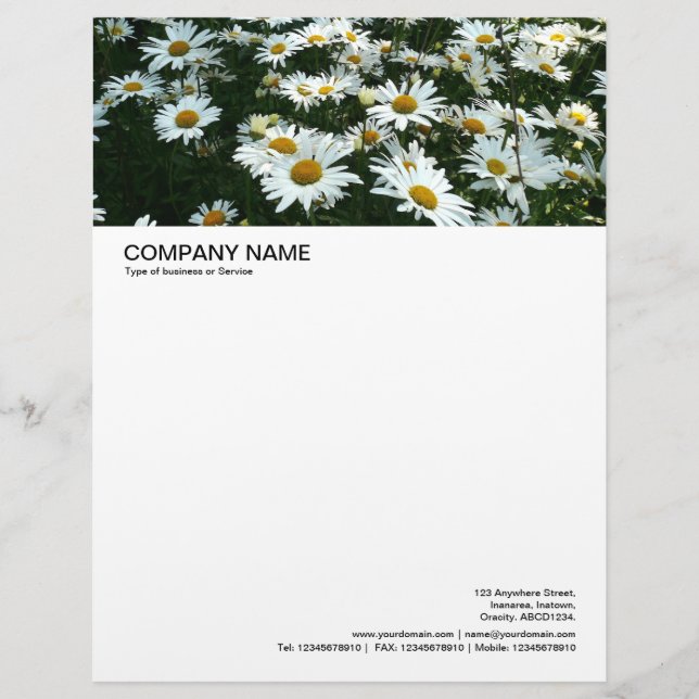 Grote koptekst van Afbeelding - Shasta Daisies Custom Briefhoofd (Voorkant)