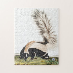 Grote kunk Mephitis macroura Illustratie Legpuzzel