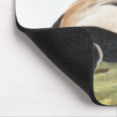 Grote kunk Mephitis macroura Illustratie Muismat (Hoek)