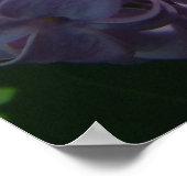 Grote Lila bloemen Poster (Hoek)