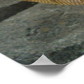 Grote mannetjes Iguana spp. Poster (Hoek)