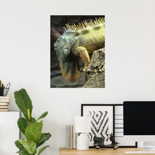 Grote mannetjes Iguana spp. Poster (Thuiskantoor)