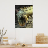 Grote mannetjes Iguana spp. Poster (Keuken)