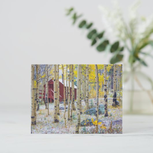 Grote Mesa Solitaire kap in een bos Briefkaart (Staand voorkant)