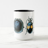 Grote Mok van Beetel (Midden)