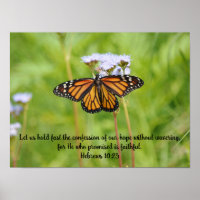 Grote monarch vlinder op wilde bloemen Poster kuns