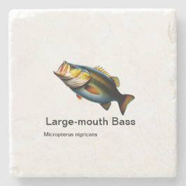 grote-mondbas op marmer stenen onderzetter