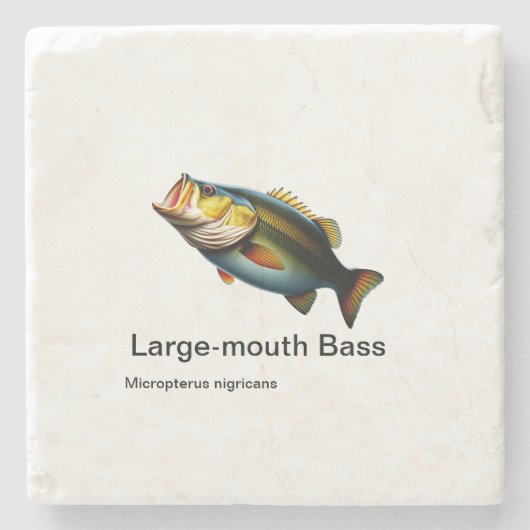 grote-mondbas op marmer stenen onderzetter (Voorkant)