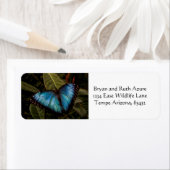 Grote, mooie, blauwe vlinder etiket (Insitu)