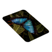 Grote, mooie, blauwe vlinder magneet (Rechterzijde)