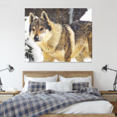 Grote mooie grijze Wilde Wolf in sneeuw Canvas Afdruk (Insitu (Slaapkamer))