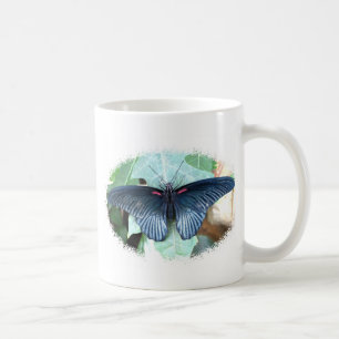 Grote Mormon-Tropische vlinder Koffiemok