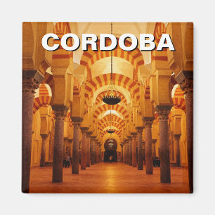 Grote moskee van Cordoba Spanje Magneet