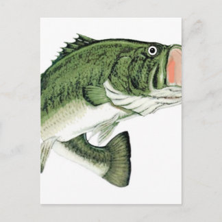 Grote Mouth Bass Briefkaart