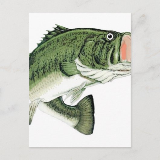 Grote Mouth Bass Briefkaart (Voorkant)