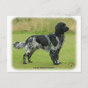 Grote Münsterlander Briefkaart