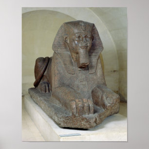 Grote neushoorn uit Tanis Poster