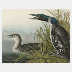 Grote Noord-Diver Loon Audubon Birds of America Fleece Deken