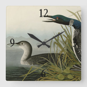 Grote Noord-Diver Loon Audubon Birds of America Vierkante Klok