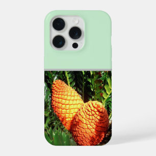 Grote oranje Afrikaanse zaadkegelpeulen, iPhone 15 Pro Hoesje