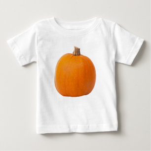 Grote Oranje Herfst Harvest Pumpkin