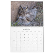 Grote orwemkalender kalender (Mar 2027)