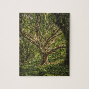 Grote Oude boom in het bos Legpuzzel