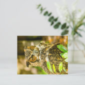 Grote paarden briefkaart (Staand voorkant)