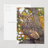 Grote paarden briefkaart (Voorkant / Achterkant)