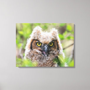 Grote paarden canvas afdruk