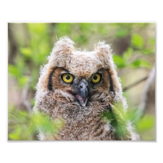 Grote paarden foto afdruk (Voorkant)