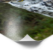 Grote paarden foto afdruk (Hoek)