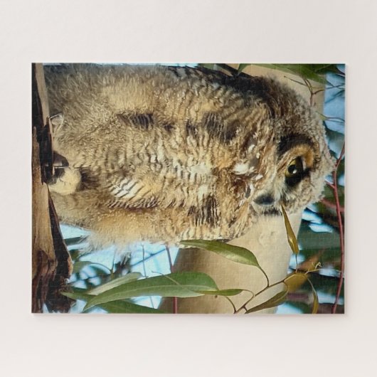 Grote paarden legpuzzel (Horizontaal)