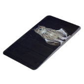 Grote paarden magneet (Linkerzijde)