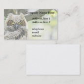 Grote paarden visitekaartje (Voorkant / Achterkant)