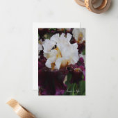 Grote Paarse & Witte Iris Notitiekaartje (Voorkant / Achterkant in situ)