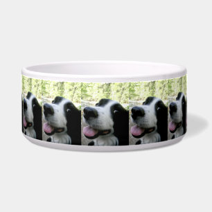 Grote Pet Food Bowl met Border Collie Voerbakje