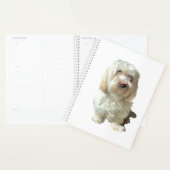 Grote planner Havanese Dog (Display)