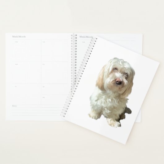 Grote planner Havanese Dog (Display)