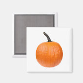 Grote pompoen magneet (Voorkant / Achterkant)