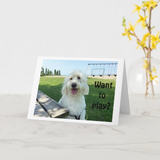 GROTE PRATENDE HOND ZEGT WIL SPELEN? VERJAARDAG KA KAART (Gele Bloem)