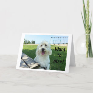 GROTE PRATENDE HOND ZEGT WIL SPELEN? VERJAARDAG KA KAART